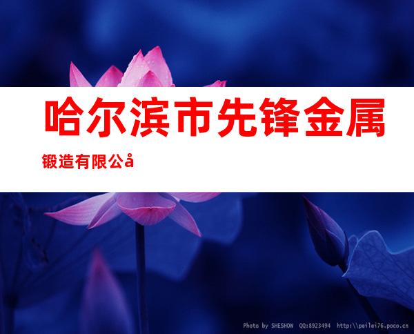 哈尔滨市先锋金属锻造有限公司